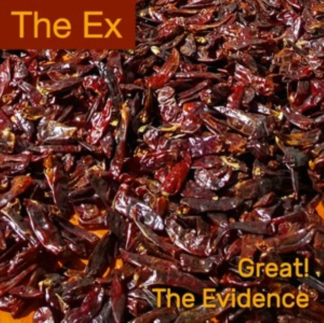 EX - GREAT! / THE EVIDENCE - Vinyl Record 7