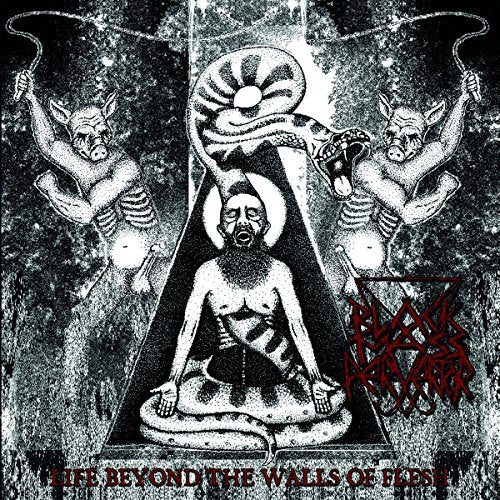 BLACK MASS PERVERTOR - LIFE BEYOND THE WALLS OF FLESH - Vinyl Record ML