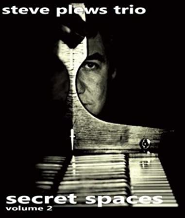PLEWS STEVE/TRIO - SECRET SPACES VOL 2 - CD