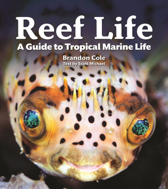 Michael Scott - Reef Life : A Guide to Tropical Marine Life - Paperbac