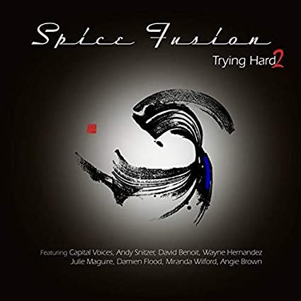 SPICE FUSION - TRYING HARD 2 - Vinyl Record