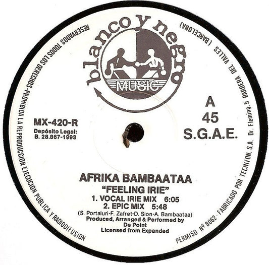 Afrika Bambaataa - Feeling Irie (Remix) - Used Vinyl Record 12"