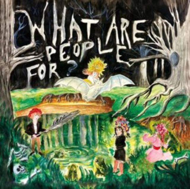 WHAT ARE PEOPLE FOR? - Vinyl Record