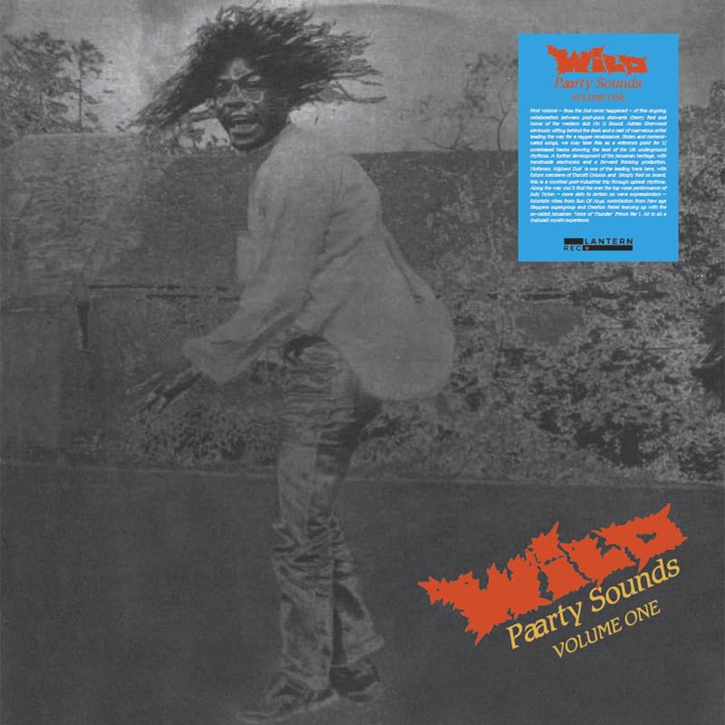 VARIOUS ARTISTS - Wild Paarty Sound (RSD 2022) - Vinyl Record