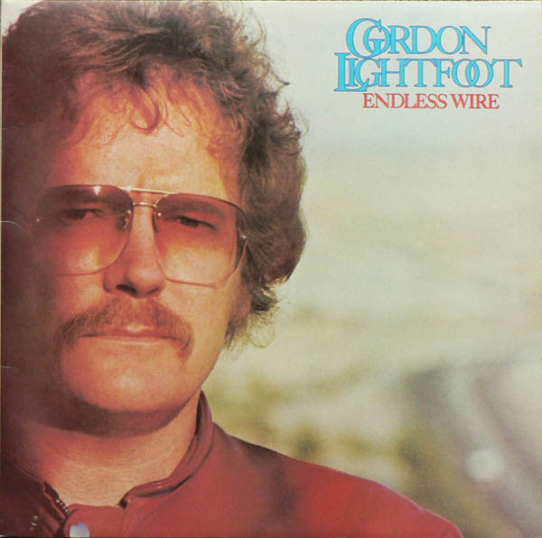 Gordon Lightfoot - Endless Wire - Used Vinyl Record