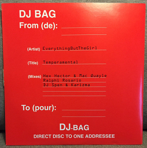 Everything But The G - Temperamental - Used Vinyl Record 12"