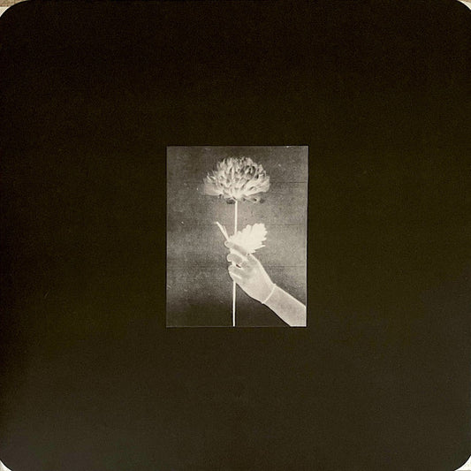 White Flowers - Day By Day - New Vinyl Record