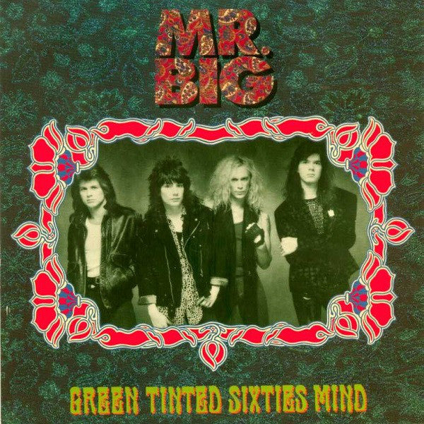 Mr. Big - Green Tinted Sixties Mind - Used Vinyl Record 7"