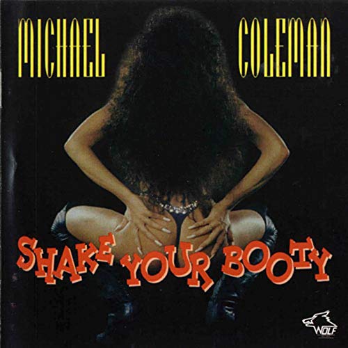Shake Your Booty - CD