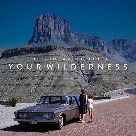 PINEAPPLE THIEF - YOUR WILDERNESS - CD