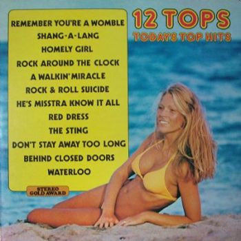 Unknown Artist - 12 Tops  - Volume 20 - Used Vinyl Record