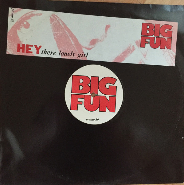 Big Fun - Hey There Lonely Girl - Used Vinyl Record 12"