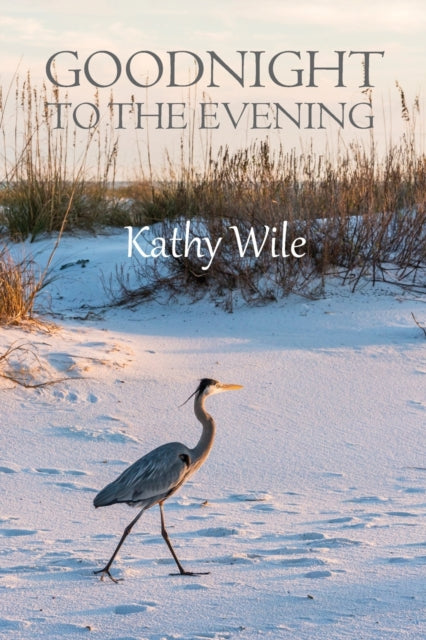 Wil - Goodnight to the Evening - New paperback or softback