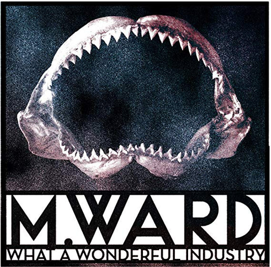 M. Ward - What A Wonderful Industry - New CD