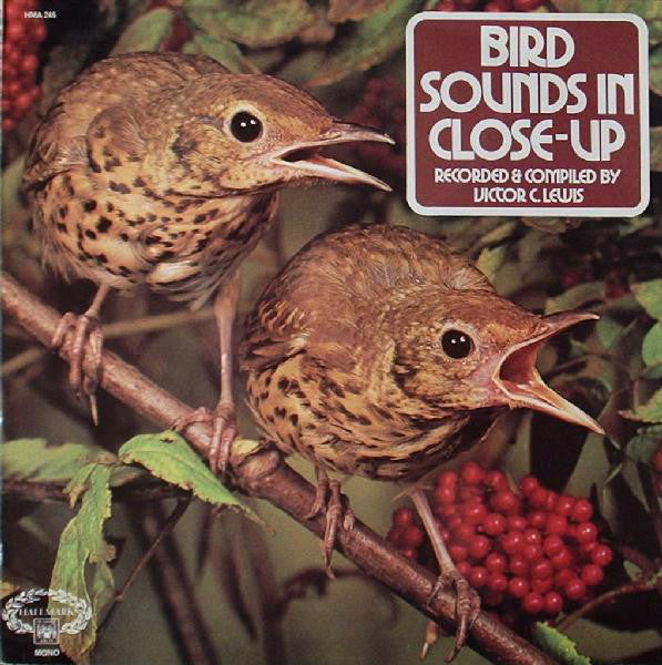 Victor C. Lewis - Bird Sounds In Close Up - Used Vinyl Record