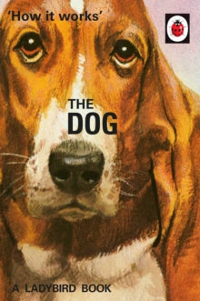 Joel Morris - How it Works: The Dog - Hardback