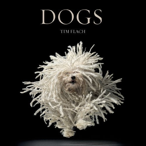 Lewis Blackwell - Dogs - Hardback