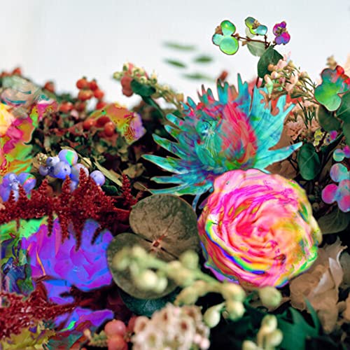 Darkstar - News From Nowhere - New CD