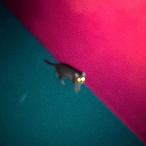 !!! (chk-chk-chk) - Wallop - New CD