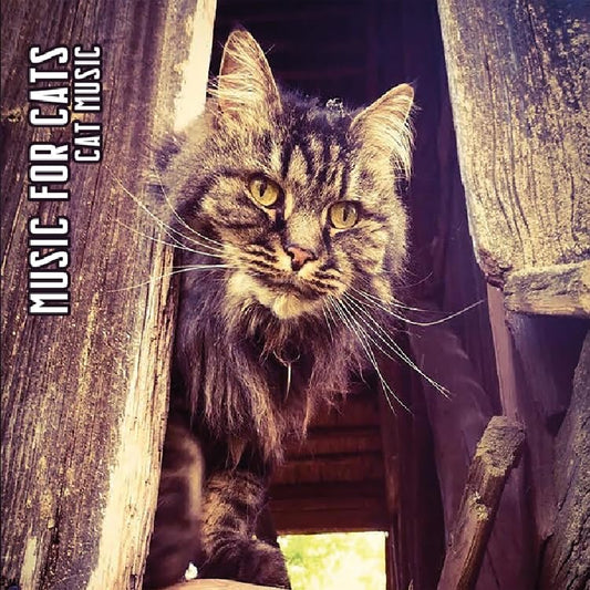 MUSIC FOR CATS - CAT MUSIC (LTD.DIGI) - New CDD