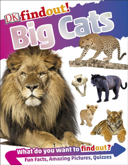 DK - findout! Big Cats - Paperback