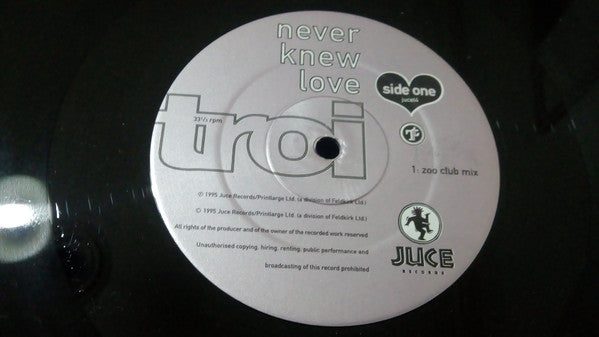 Troi - Never Knew Love - Used Vinyl Record 12"