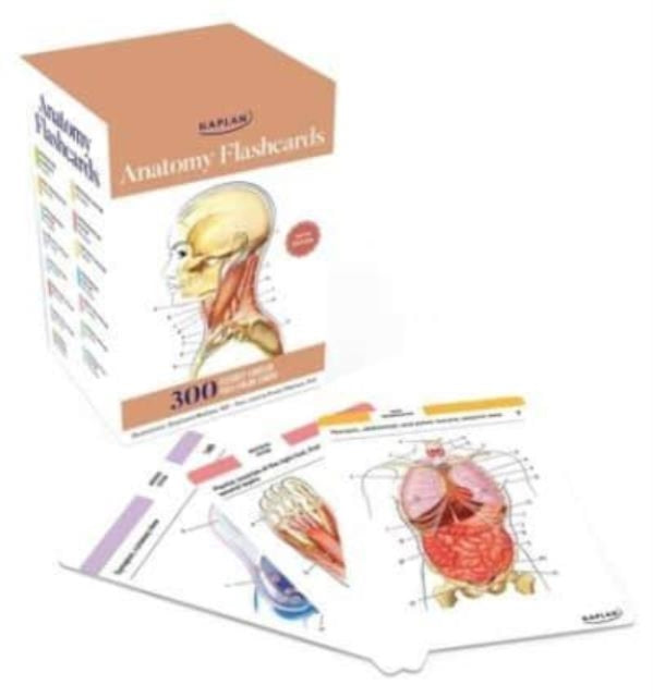 Joanne Tillotson - Anatomy Flashcards: 300 Flashcards with Anatomicall