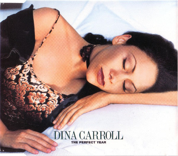Dina Carroll - Perfect Year - Used CD