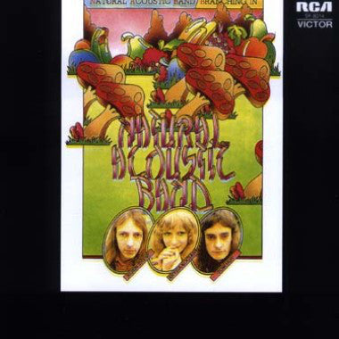 Natural Acoustic Ban - Branching In - Used Vinyl Record