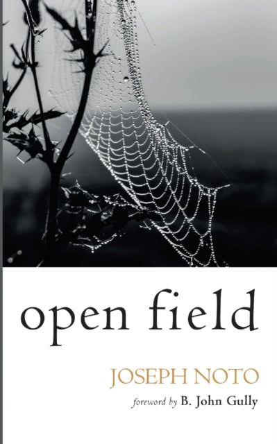 Noto - Open Field - New paperback or softback