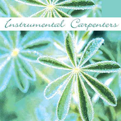 Unknown Artist - Instrumental Carpenters - CD