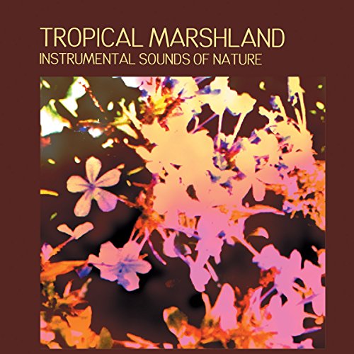 Instrumental Sounds - Tropical Marshland - - CD