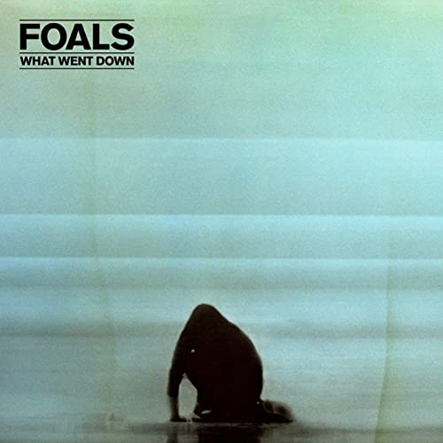 Foals - What Went Down - New Vinyl Record