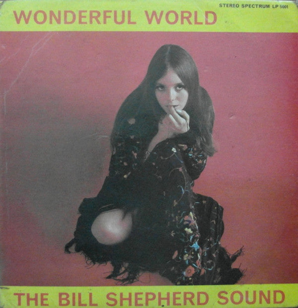 Bill Shepherd Sound - Wonderful World - Used Vinyl Record