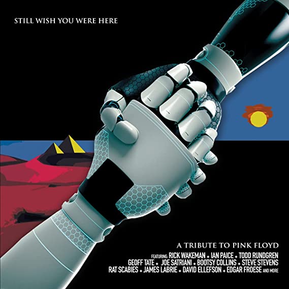 VARIOUS ARTISTS - PINK FLOYD TRIBUTE: STILL WISH YOU WERE HERE - Vinyl R