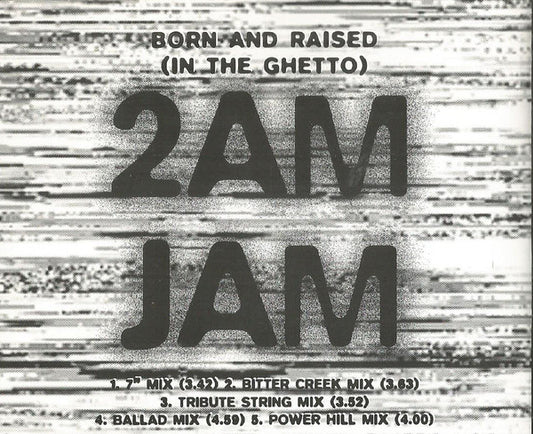 2am Jam - Born And Raised (In The Ghetto) - Used CD