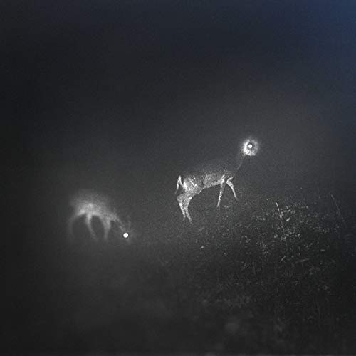 BLISS SIGNAL - New Vinyl Record