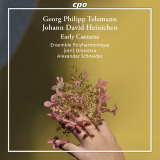 ENS POLYHARMONIQUE/S - TELEMANN/HEINICHEN - CANTATAS - CD