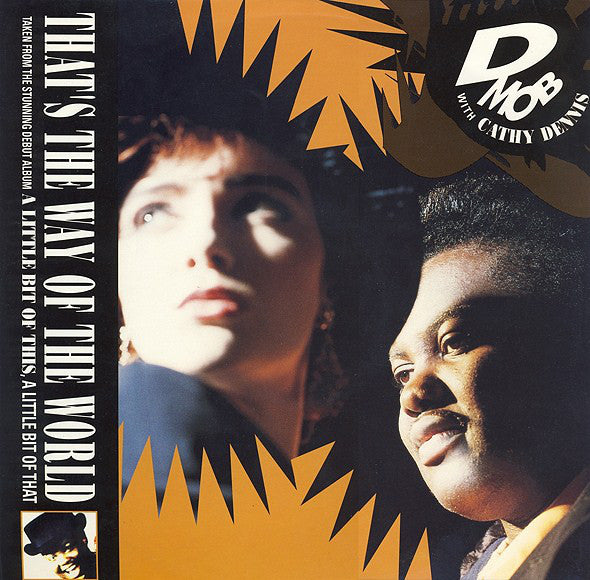 D Mob - That's The Way Of The World - Used Vinyl Record 12"