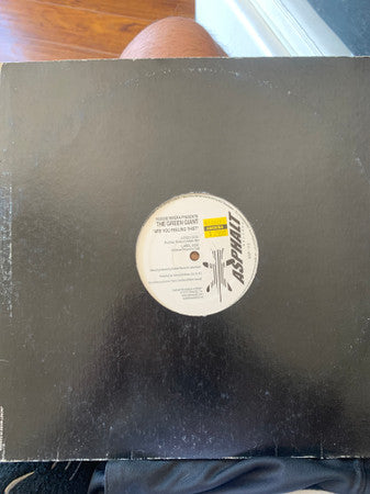 Robbie Rivera - Are You Feeling This? - Used Vinyl Record 12"