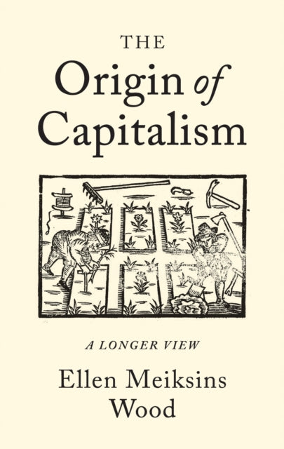 Ellen Meiksins Wood - Origin of Capitalism : A Longer View - Paperback