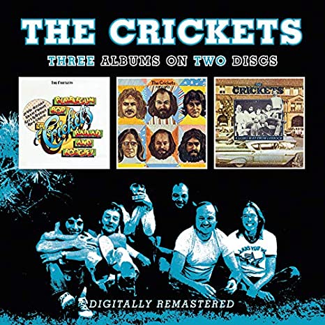 CRICKETS - BUBBLEGUM/REMNANTS/LONG WAY - CD
