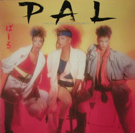 Pal - Truth For The Moment - Used Vinyl Record