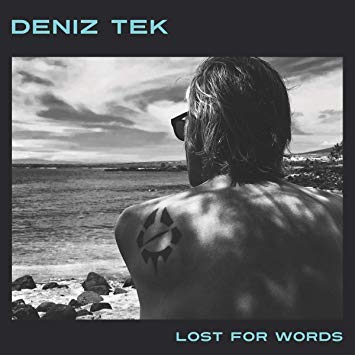 Deniz Tek - Lost For Words - CD