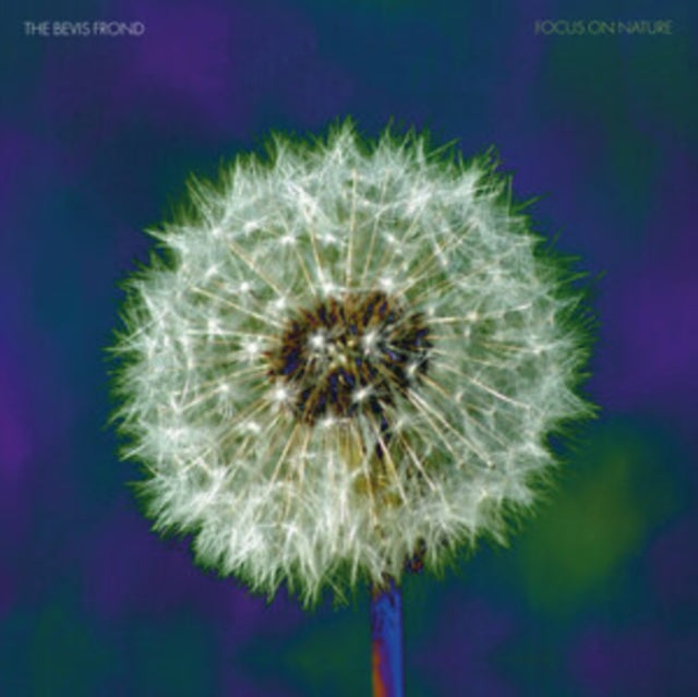 Bevis Frond - Focus on Nature LP  RELEASE DATE 28/06/24 (THIS CAN CHA