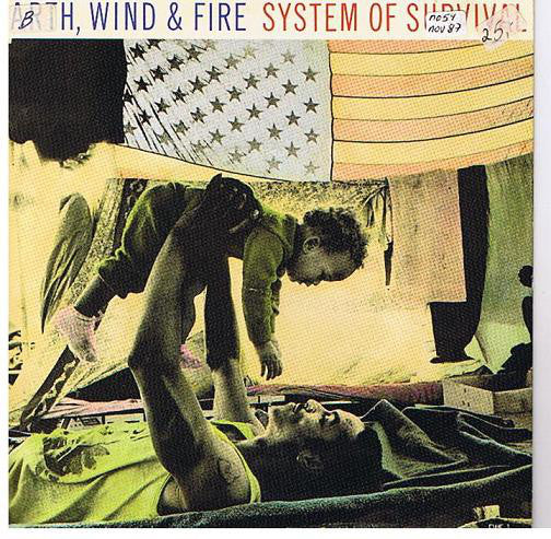 Earth - System Of Survival - Used Vinyl Record 7"