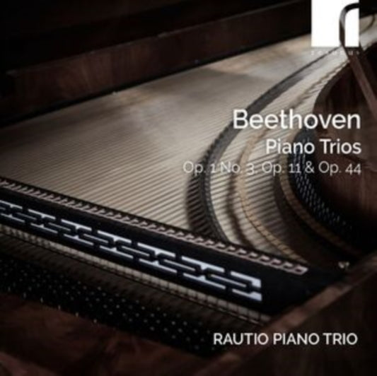RAUTIO PIANO TRIO - BEETHOVEN PIANO TRIOS OP. 1 NO - CD