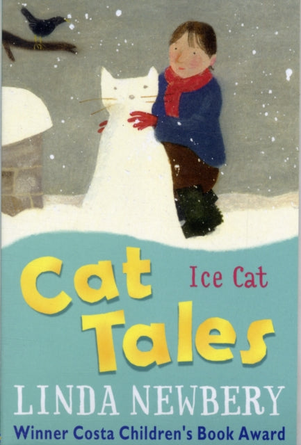 Paperback / softback