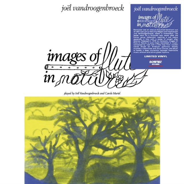 JOEL VANDROOGENBROEC - Images Of Flute In Nature - Vinyl Record