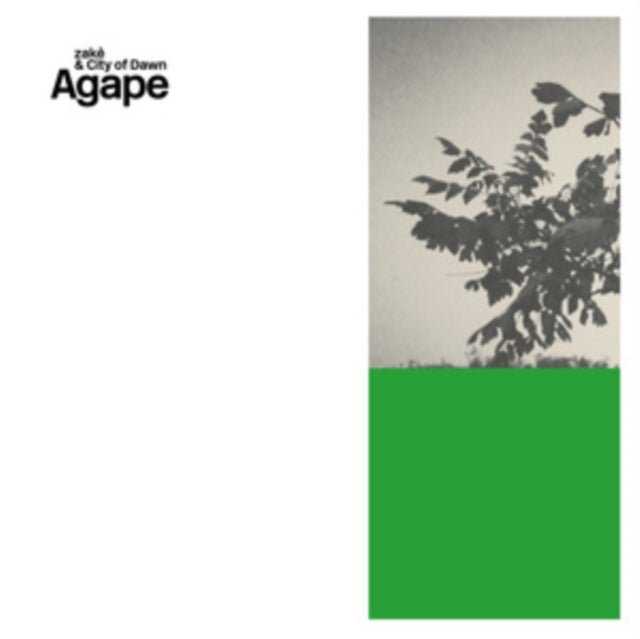 ZAKÈ & CITY OF DAWN - AGAPE - Vinyl Record VL